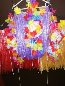 Kids Costumes to Hire - Grass Skirt - Hawaii Beach Party - CHILD
